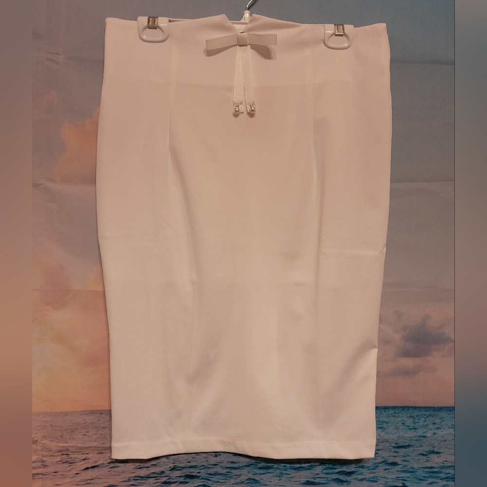 Pencil Skirt ~ XL